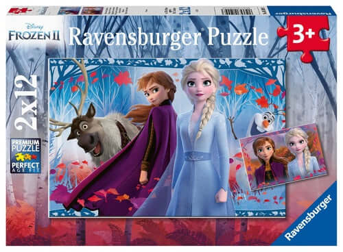 Dit is een foto van het spel Frozen 2 Reis naar het onbekende - 2 x 12 stukjes te koop bij Speldorado Spellenwinkel Delft