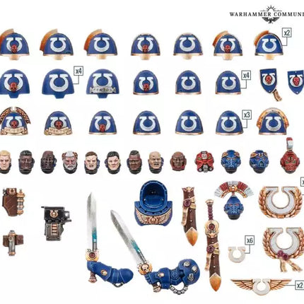 Ultramarines: Upgrades And Transfers