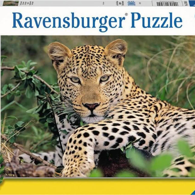 Dit is een foto van het spel Luipaard te koop bij Speldorado Spellenwinkel Delft