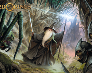 Lord of the Rings LCG collectie bij Speldorado met Core Set, Saga- en Campaign-uitbreidingen