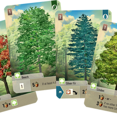 Forest Shuffle kaartspel en uitbreidingen met bomen, dieren en natuur bij Speldoradot