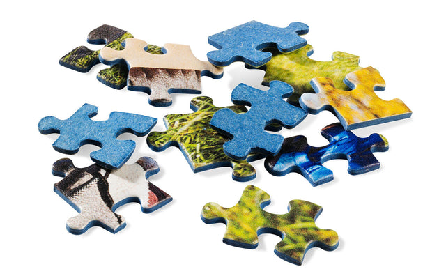 Ravensburger puzzels kopen bij Spelderado Delft. Van 500 tot 5000 stukjes, Disney, natuur en 3D-puzzels. Ontdek de collectie en bestel eenvoudig online!