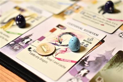 Dit is een foto van het spel Wyrmspan _ EN te koop bij Speldorado Spellenwinkel Delft