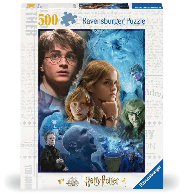 Dit is een foto van het spel Harry Potter Harry Potter op Zweinstein - 500 stukjes te koop bij Speldorado Spellenwinkel Delft