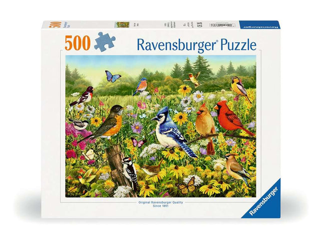 Dit is een foto van het spel Vogels in de wei - 500 stukjes te koop bij Speldorado Spellenwinkel Delft