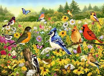 Dit is een foto van het spel Vogels in de wei - 500 stukjes te koop bij Speldorado Spellenwinkel Delft