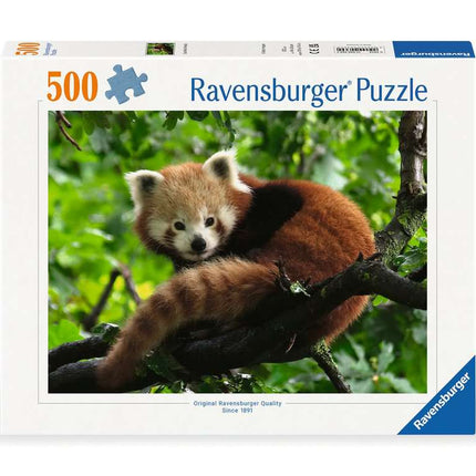 Dit is een foto van het spel Schattige rode panda - 500 stukjes te koop bij Speldorado Spellenwinkel Delft