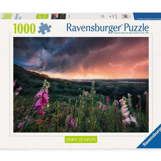 Dit is een foto van het spel Dreamy Thunder - 1000 stukjes te koop bij Speldorado Spellenwinkel Delft