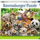 Dit is een foto van het spel Lachen ! te koop bij Speldorado Spellenwinkel Delft