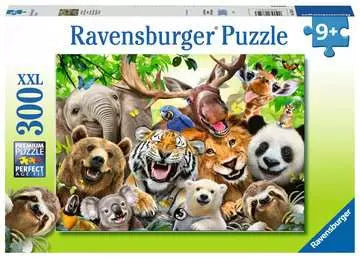 Dit is een foto van het spel Lachen ! te koop bij Speldorado Spellenwinkel Delft