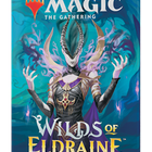 Dit is een foto van het spel Wilds of Eldraine Set booster  - Magic the Gathering te koop bij Speldorado Spellenwinkel Delft