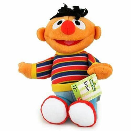 Fisher Price Sesame Street Ernie, 27084065152 van Vedes te koop bij Speldorado !