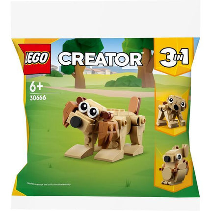 30666 Geschenkset met dieren