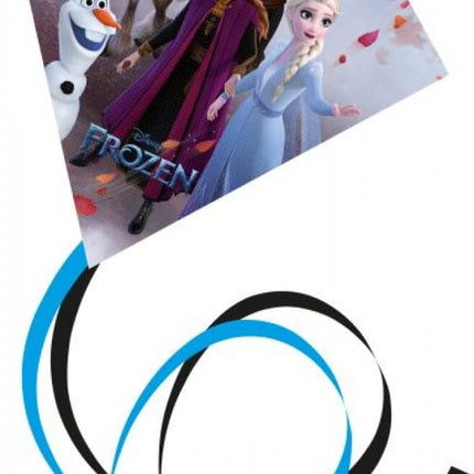 Vlieger frozen, 72028341 van Vedes te koop bij Speldorado !