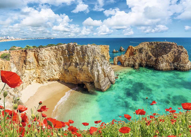 Klaprozen in de Algarve, Portugal - 1000 stukjes