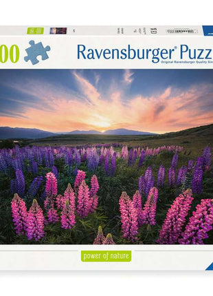 Ravensburger puzzel "the Space" - 500 stukjes