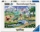 Pokemon: Eevee and Park