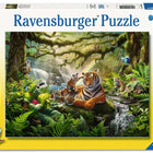 Jungle Wildlife Wonders