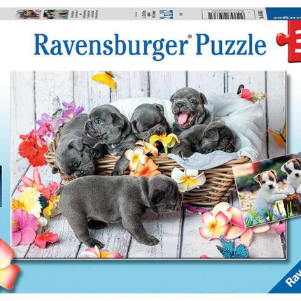 Schattige Haarbolletje 2 X 12 Stukjes 56361, 56361 van Ravensburger te koop bij Speldorado !