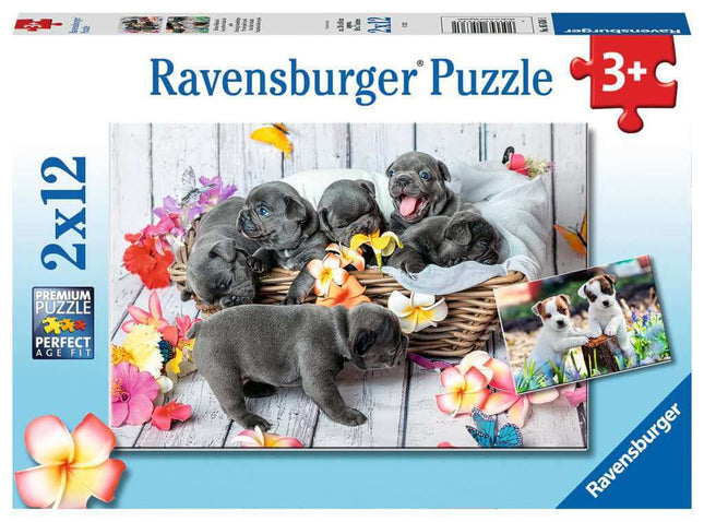 Schattige Haarbolletje 2 X 12 Stukjes 56361, 56361 van Ravensburger te koop bij Speldorado !