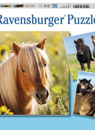 Ravensburger puzzel "Een dag in Parijs - Panorama Puzzles 1000 stukjes" - 1000 stukjes