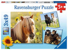 Ravensburger puzzel 