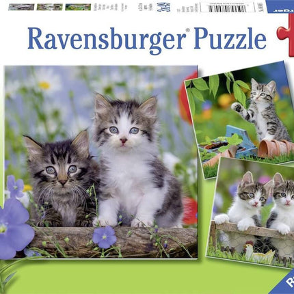 Jonge Katjes 3X49 Stukjes 80465, 80465 van Ravensburger te koop bij Speldorado !