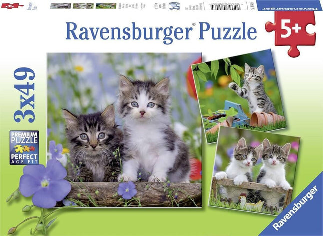 Jonge Katjes 3X49 Stukjes 80465, 80465 van Ravensburger te koop bij Speldorado !