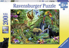 Eurographics puzzel 