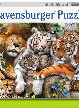 Tucker's Fun Factory puzzel "Toen & Nu Nederland (1000)" - 1000 stukjes