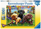 Schmidt puzzel 