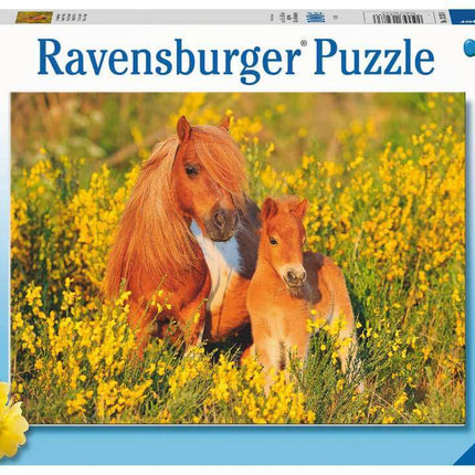 Dit is een foto van het spel Shetlandpony'S 100 Xxl te koop bij Speldorado Spellenwinkel Delft