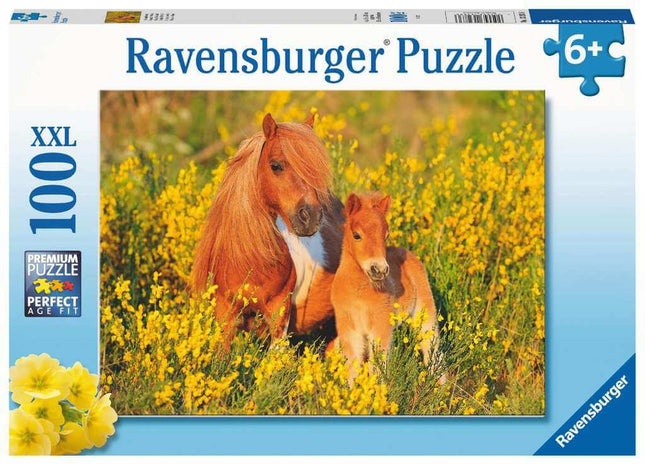 Shetlandpony'S 100 Xxl 132836, 132836 van Ravensburger te koop bij Speldorado !