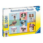 Dit is een foto van het spel Grappige Honden te koop bij Speldorado Spellenwinkel Delft