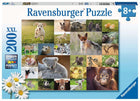 Schmidt puzzel 