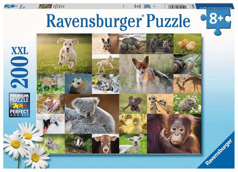 Schmidt puzzel "Disney Doornroosje Dansen in het magische Licht" - 1000 stukjes