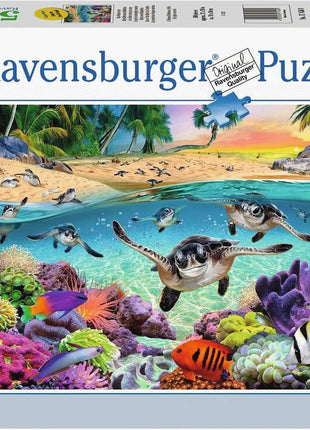 Eurographics puzzel "Rocky Mountain National Park (1000)" - 1000 stukjes