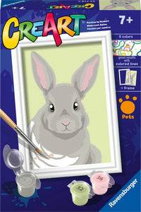 Gray Rabbit