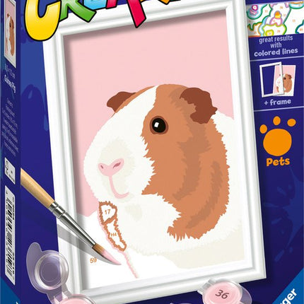 Guinea pig