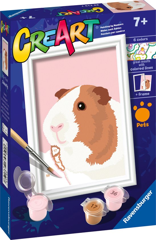 Guinea pig