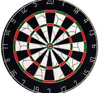 BULLS Bristol Flock Dartboard