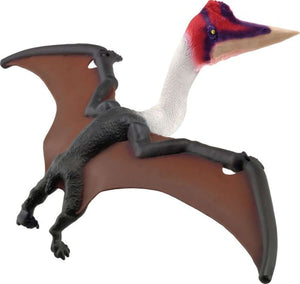 Quetzalcoatlus, 15028 van Vedes te koop bij Speldorado !