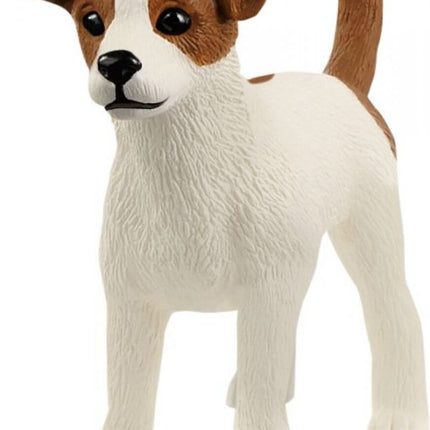 Jack Russell Terrier, 13916 van Vedes te koop bij Speldorado !