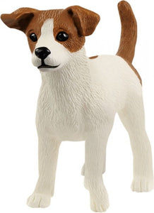 Jack Russell Terrier, 13916 van Vedes te koop bij Speldorado !