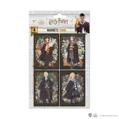 Set Of 4 Magnets - Portraits Characters - Harry Potter