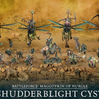 Dit is een foto van het spel maggotkin of nurgle: shudderblight cyst te koop bij Speldorado Spellenwinkel Delft