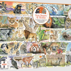 Dit is een foto van het spel Sun Bears and Sloths te koop bij Speldorado Spellenwinkel Delft