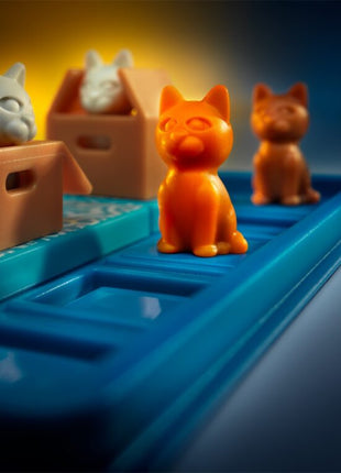Cats and Boxes