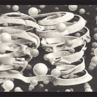 Band - M.C. Escher (1000), PUZ-526 van Boosterbox te koop bij Speldorado !