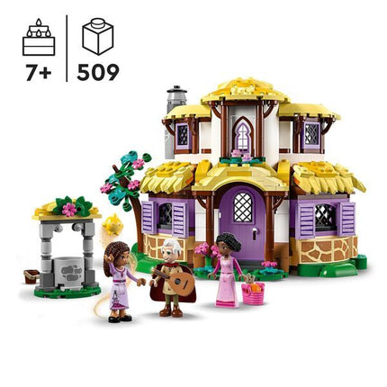 Ashas Huis 43231  Disney